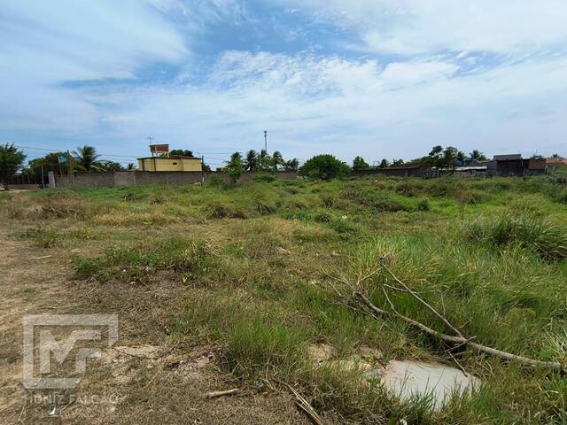 #542 - Terreno para Venda em Marechal Deodoro - AL - 3